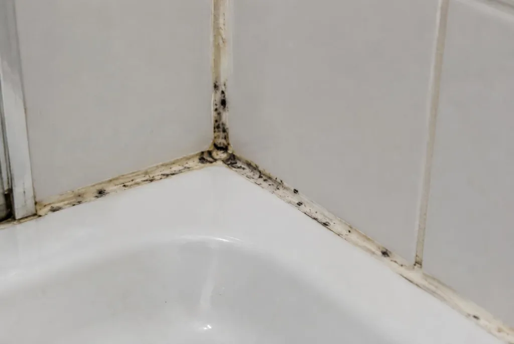 Kitbedrijf Steenwijk – beschimmelde kitranden